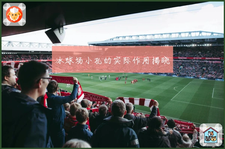 冰球场小孔的实际作用揭晓
