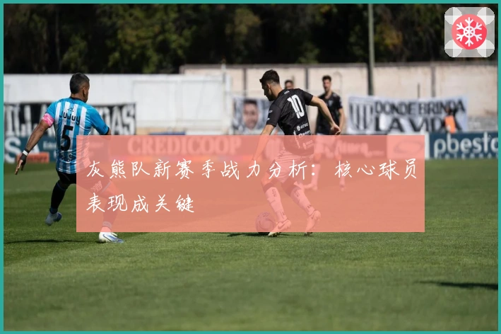 灰熊队新赛季战力分析：核心球员表现成关键