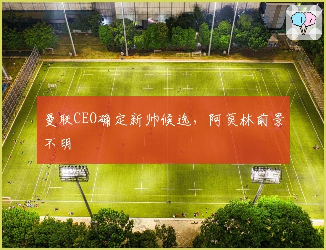 曼联CEO确定新帅候选，阿莫林前景不明