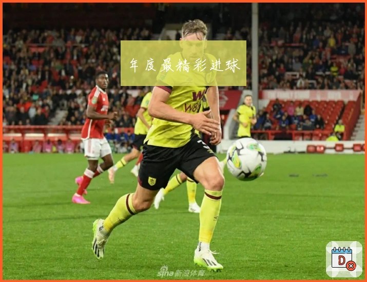 年度最精彩进球