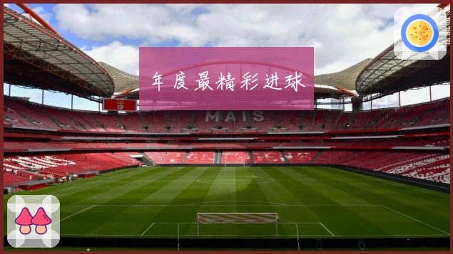 年度最精彩进球